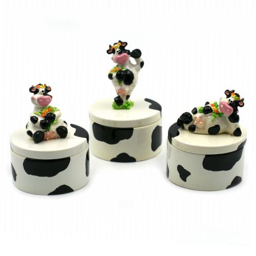 lot de Trois Boîte à Bijoux