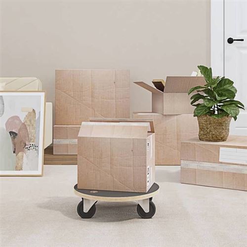 Chariots de transport 2 pcs rond Ø38x11,5 cm 250 kg vidaXL