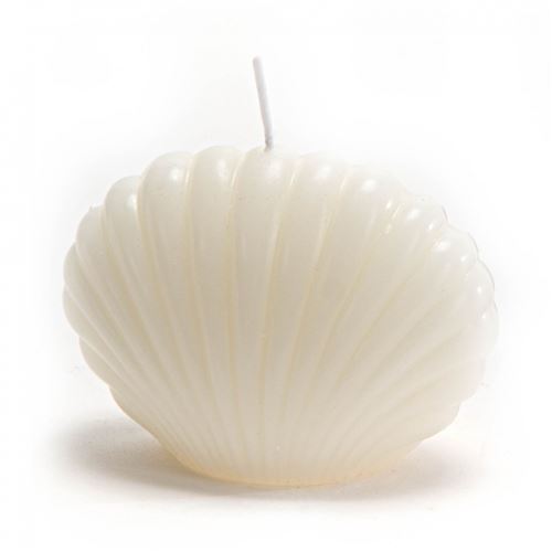 Non Communiqué Blanc Bougie Coquillage Crème (Lot De 8) - Amadeus - Cire
