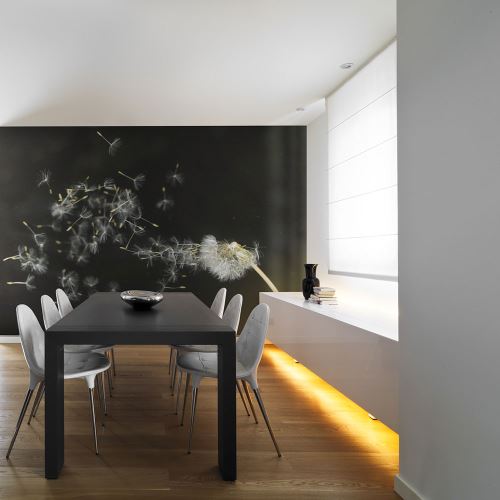 Papier peint - Graines de dent-de-lion emportées par le vent - Décoration, image, art | Fleurs | Pissenlits |