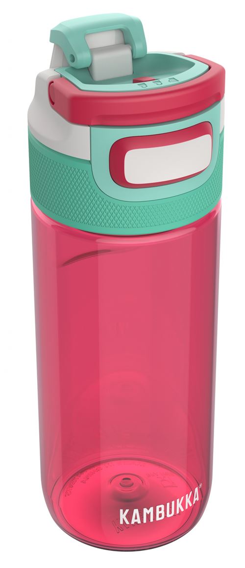 Kambukka Elton gourde Melon d'eau 500 ml rose