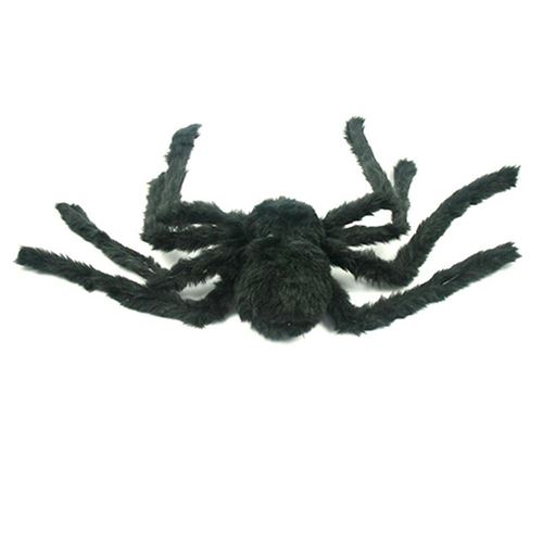 Onwomania Peluche Peluche Animal araignée Tarentule Noir 20 cm