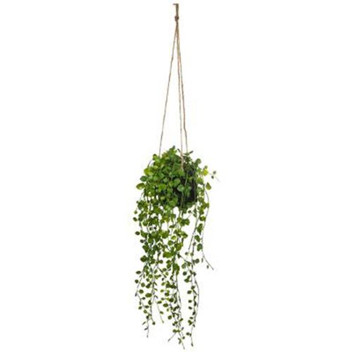 Plante artificielle &agrave; suspendre Pot en ciment - Lierre - Atmosphera
