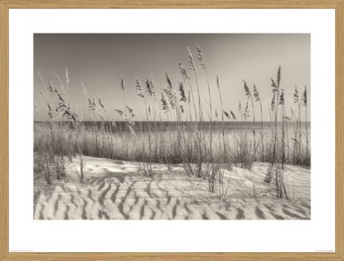 Poster Reproduction Encadré: Dunes - Dune Grass, Dennis Frates (60x80 Cm), 4cm Cadre Mdf Elegance, Chêne