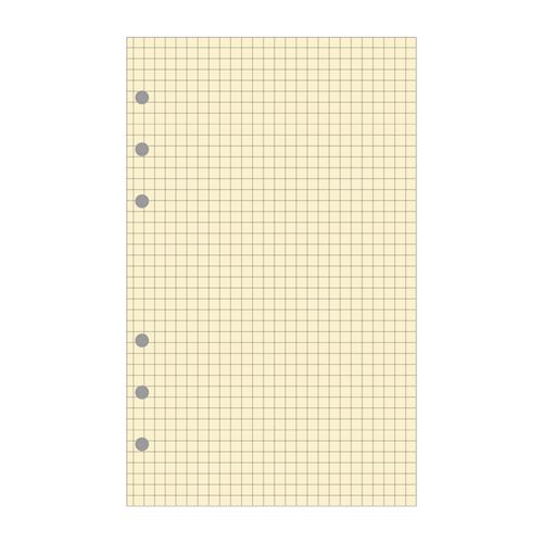Recharge accessoire Exatime 21 bloc quadrill&eacute; 40 feuillets 210x142 mm
