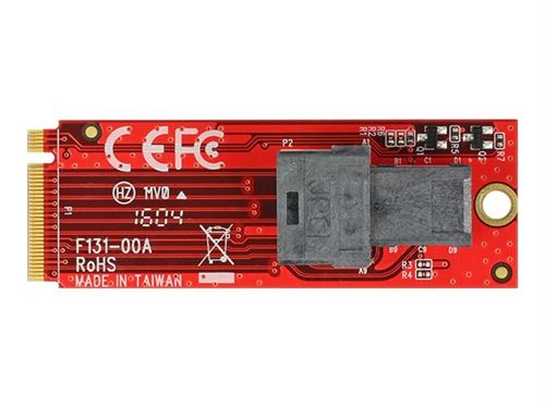 Delock - Adaptateur d'interface - SAS 12Gb/s - M.2 Card
