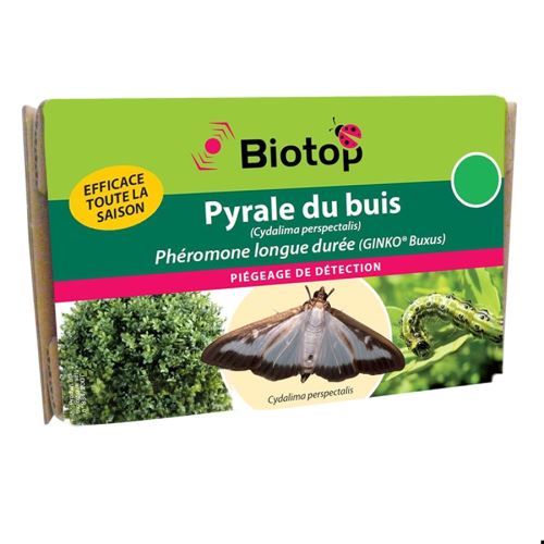 Phéromones Pyrale du buis Ginko Buxus longue durée x2