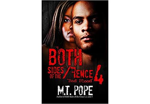 Both Sides Of The Fence 4: Bad Blood (Anglais) Broché – 26 Août 2014