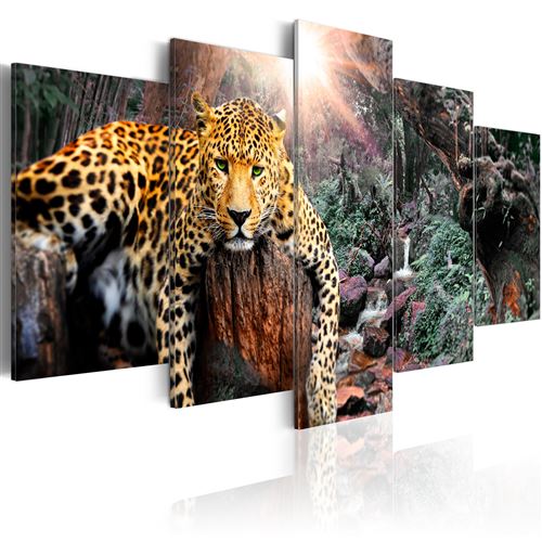 Tableau - Leopard Relaxation - 100x50 Artgeist (5585)
