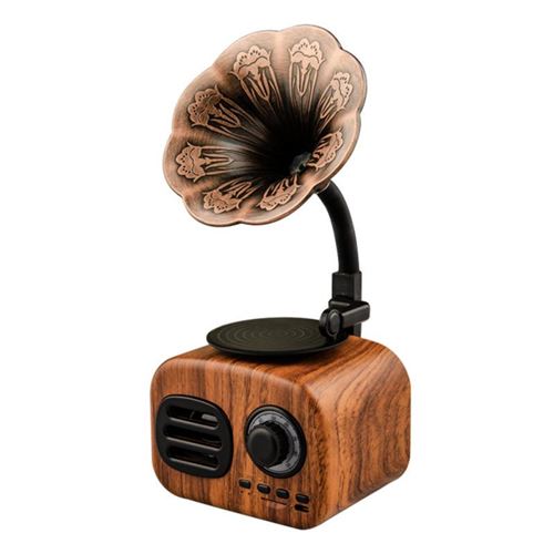enceinte bluetooth FT-0 marron