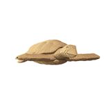 Cartonic - Puzzle 3D Tortue - Naturel -
