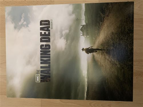 Walking Dead - Season 2 - 31x40cm - Affiche