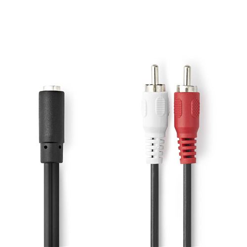 Câble Audio Stéréo 2x RCA Mâles - 3,5 mm Femelle 0,2 m Noir