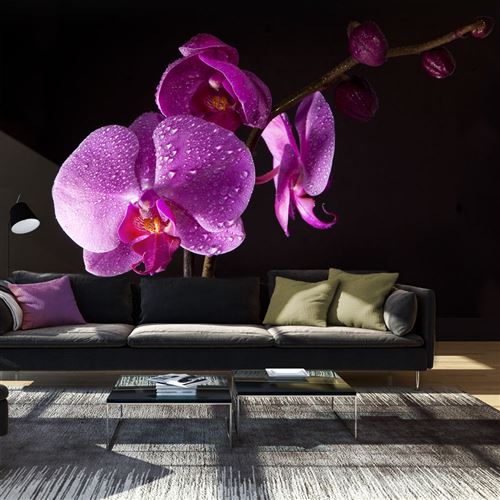 papier peint - de bon goût orchidée - artgeist - 450x270