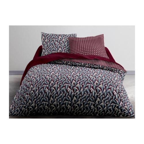 TODAY Parure de couette Microfibre 100% Polyester CRAZY MILLY 220x240 cm - 1 housse de couette et 2 taies d'oreiller