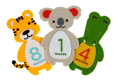 Photosharing - sticker feutrine animaux