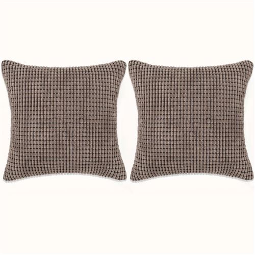 vidaXL Jeu de coussin 2 pcs Velours 60 x 60 cm Marron
