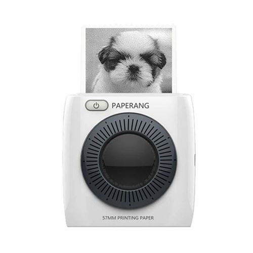 PAPERANG P2 Handheld Mini Bluetooth Imprimante thermique 300dpi HD 1000mAh Batterie