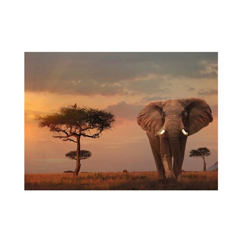 Ravensburger puzzle Eléphant dans le Parc National du Masai Mara 1000 pièces