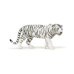 TIGRE BLANC