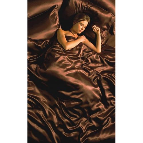 Parure de Lit Satin Marron Chocolat 6 pcs Housse de Couette 220x260 Taies Drap Housse lit 180 cm