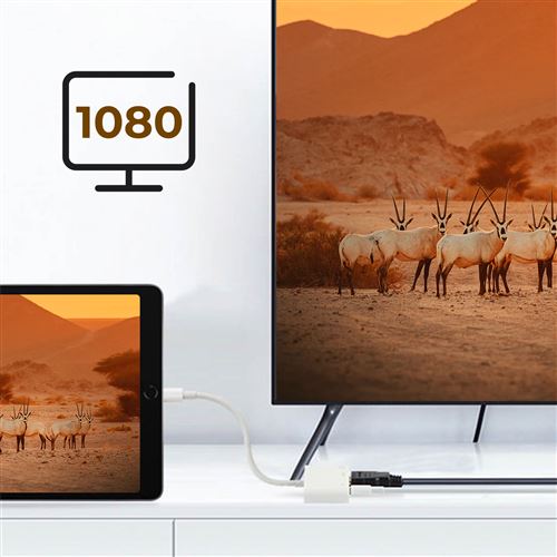 Qumox Adaptateur Lightning vers HDMI AV numérique TV pour Apple