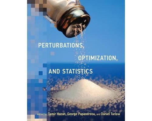 Perturbations; Optimization; and Statistics