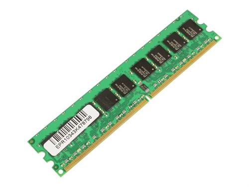 MicroMemory MMI9910/2GB 2Go DDR2 667MHz ECC module de mémoire - Modules de mémoire (2 Go, 1 x 2 Go, DDR2, 667 MHz)