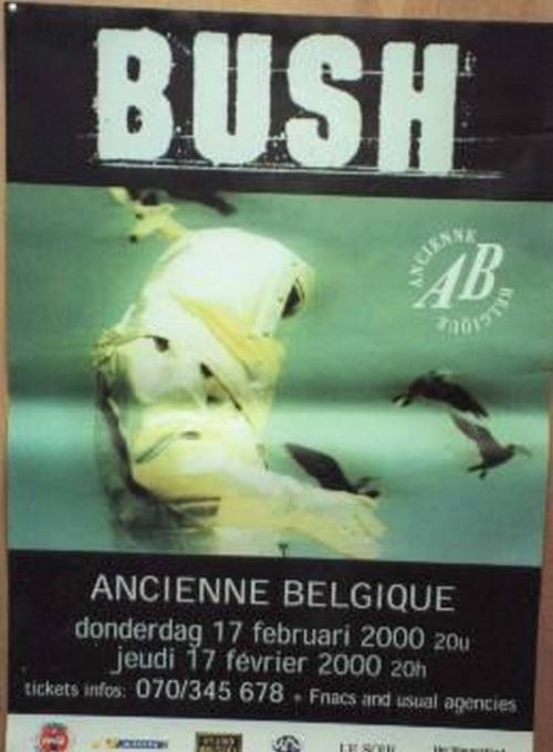 Bush - 70x100 cm - AFFICHE / POSTER