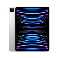 46% auf Apple 12.9-inch iPad Pro Wi-Fi - 5. Generation - Tablet
