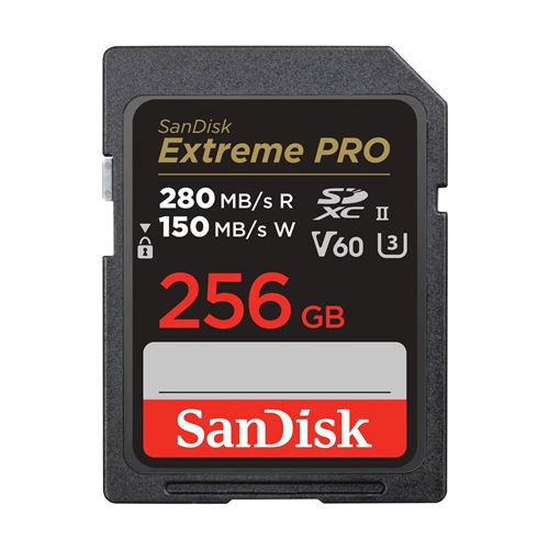 Carte mémoire SD SanDisk Extreme Pro 256 Go Noir