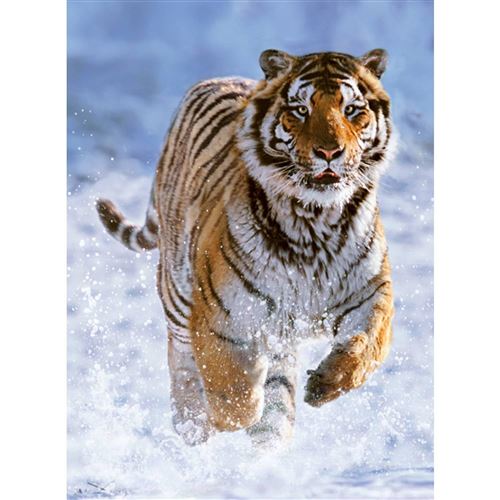 Non Communiqué Puzzle 500 Pièces : Tigre Dans La Neige