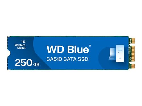 WD Blue SA510 WDS250G3B0B - SSD - 250 GB - intern - M.2 2280 - SATA 6Gb/s - blauw