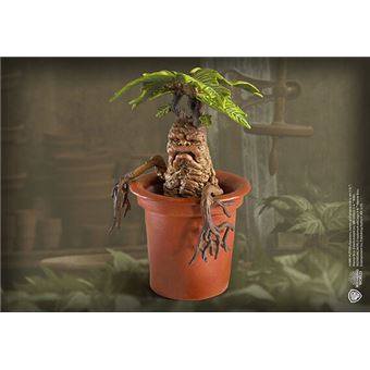 Harry Potter - Statuette Magical Creatures Mandrake 13 cm