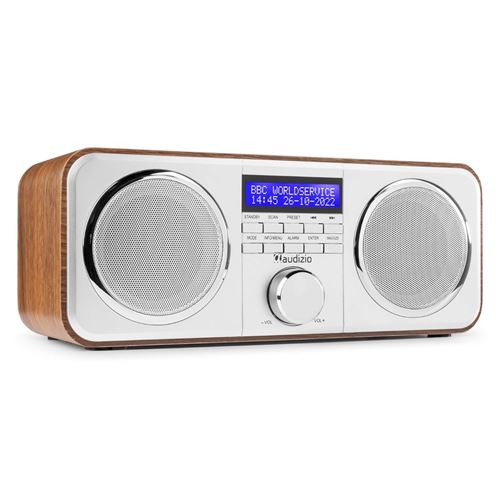 Karcher RA 2030D Radio-réveil avec Radio Dab+/FM 20 Stations de Stockage et Lecture MP3 avec Alarme Double Alarme/minuteur de Compte à rebours et Chargeur USB 