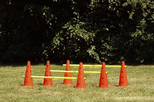Hurdle Set Obstacles 501 AXI