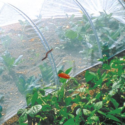 Nortene - Filet Anti-Insectes - 2,2 m x 5 m - Protection Potager - Image 3