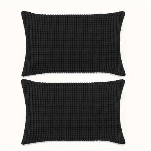 vidaXL Jeu de coussin 2 pcs Velours 40 x 60 cm Noir