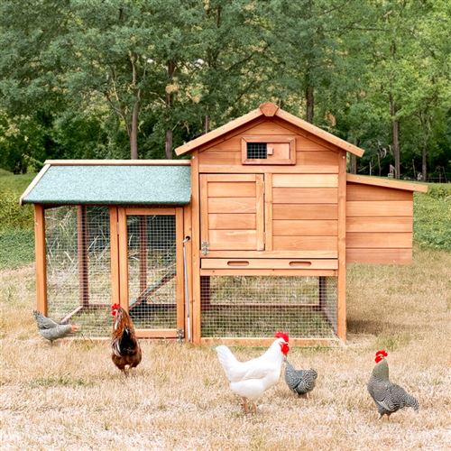 Meilleurs prix pour Poulailler en bois de jardin extérieur pour poules pondeuses 152x62x92 Marf