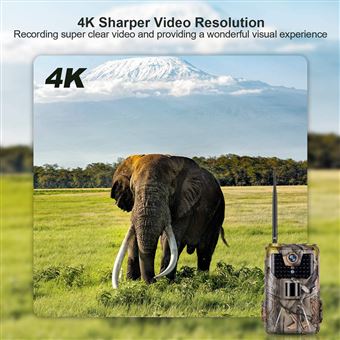 Caméra de chasse Full hd - 4G Piège photographique