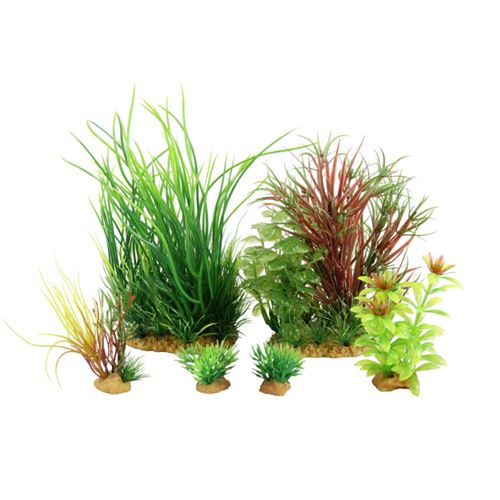 Tetra - Kit de 6 plantes Plantkit Jalaya