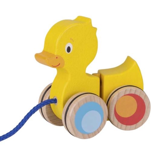Canard, animal à tirer