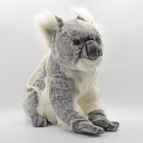 Hansa - moederkoala
