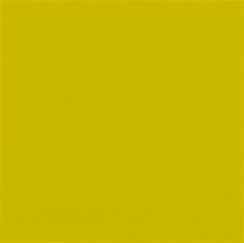 Serviettes Duni Kiwi 3 couches 33x33