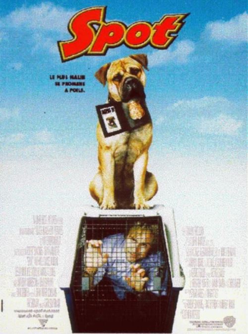 Spot AFFICHE CINEMA ORIGINALE État correct - N/A reconditionné disponible sur Fnac