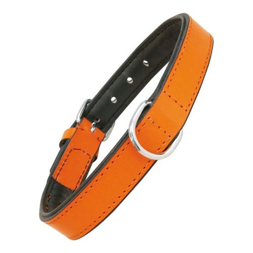 Meilleurs prix pour Collier pour Chien Gloria Rembourré 30 1 5 cm Orange