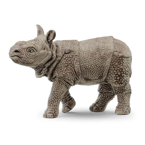 Non Communiqué Wild Life Bébé Rhinocéros Indien