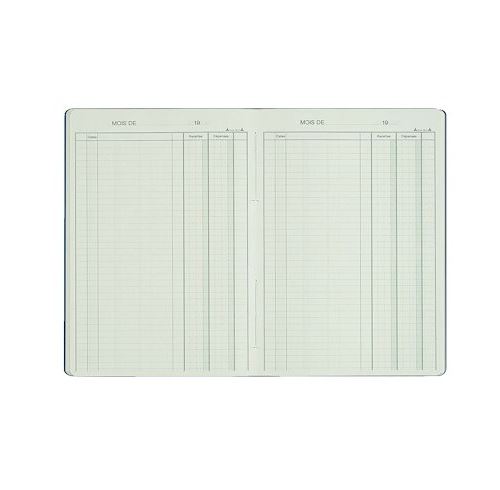 Répertoire Le Dauphin Recettes-Dépenses A4 80 Pages Reliure Piquée - Assorties