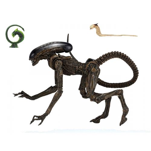 Alien 3 - Figurine Ultimate Dog 23 cm