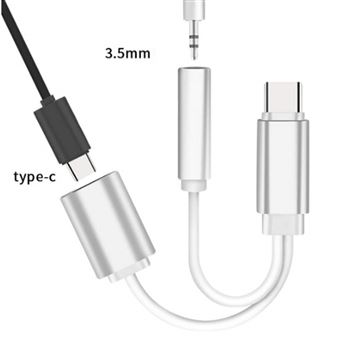 INECK® Audio Adaptateur et CâBle de Chargement 2 en 1 type C vers adaptateur  prise